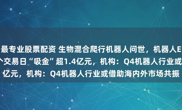 最专业股票配资 生物混合爬行机器人问世，机器人ETF（159770）近3个交易日“吸金”超1.4亿元，机构：Q4机器人行业或借助海内外市场共振