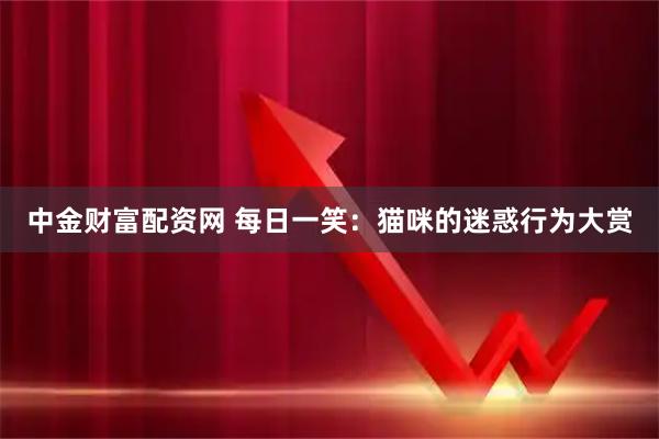 中金财富配资网 每日一笑：猫咪的迷惑行为大赏