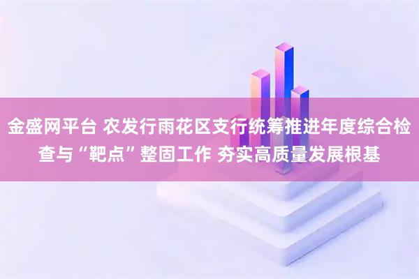 金盛网平台 农发行雨花区支行统筹推进年度综合检查与“靶点”整固工作 夯实高质量发展根基