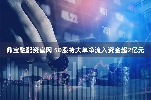 鼎宝融配资官网 50股特大单净流入资金超2亿元